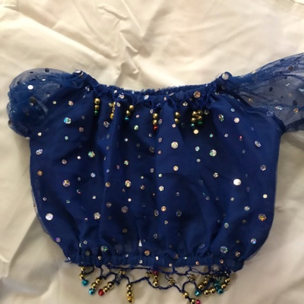 Gypsy costume